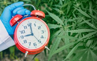 How Long Does Marijuana Stay in Your Blood After Use