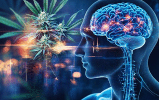 Marijuana Affect Dopamine and Brain Neurotransmitters