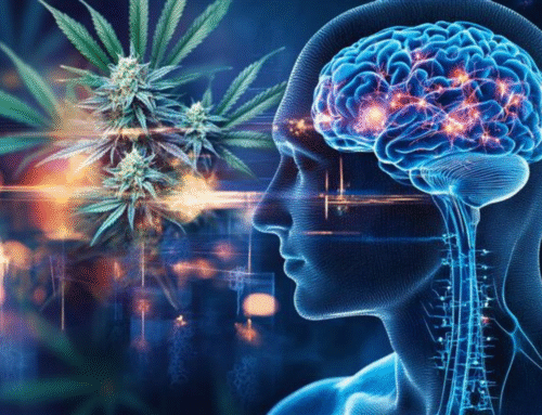 How Marijuana Affects Dopamine and Brain Neurotransmitters?