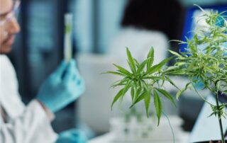 How to Get Marijuana Out of Your System Faster