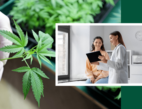 How Long Does It Take to Get Approved for a Medical Marijuana Card?