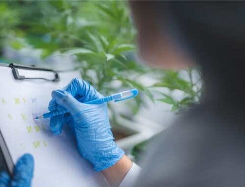 Top Qualifying Conditions for a Medical Marijuana Card