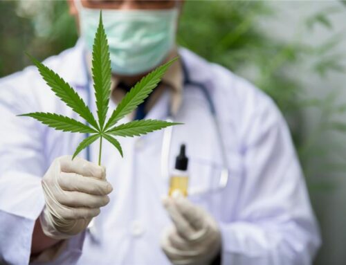 Find the Best Medical Marijuana Doctors Near Me
