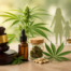 Cannabis Schedule III Update 2026 What It Means for Medical Marijuana Patients