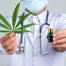 Medical Marijuana vs CBD for Anxiety