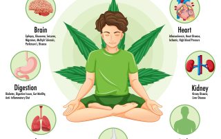 Medical Marijuana and Heart Health