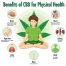 Medical Marijuana and Heart Health