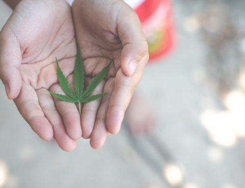 Can Anxiety Qualify You for a Medical Marijuana Card in 2026?